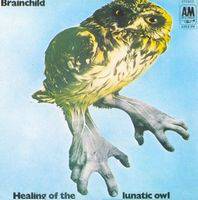 Healing Of The Lunatic Owl